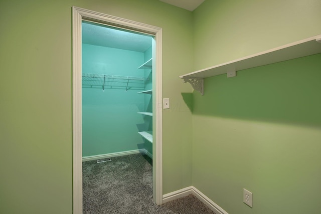 spacious closet with visible vents and carpet flooring