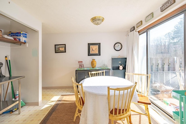 dining room featuring light floors, baseboards, and a textured ceiling