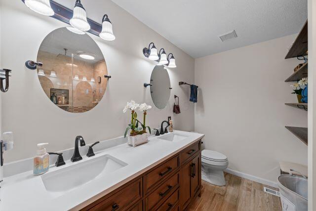 bathroom with visible vents, a sink, and wood finished floors