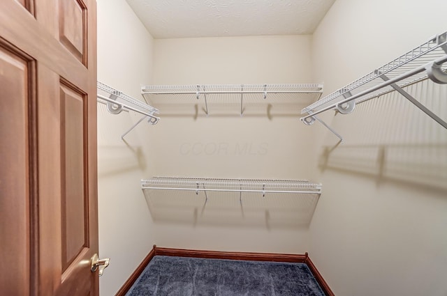 spacious closet with dark carpet