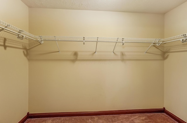 walk in closet with dark carpet