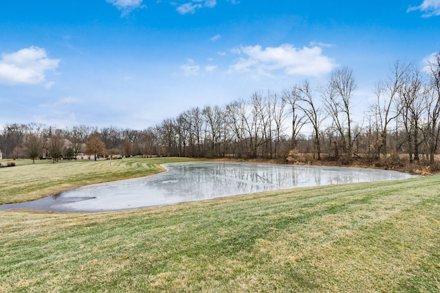 view of yard featuring a water view and a view of trees