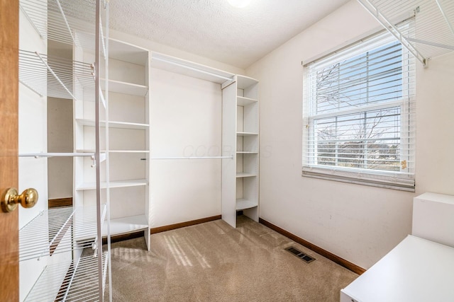 spacious closet featuring carpet and visible vents