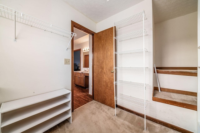 spacious closet with carpet floors