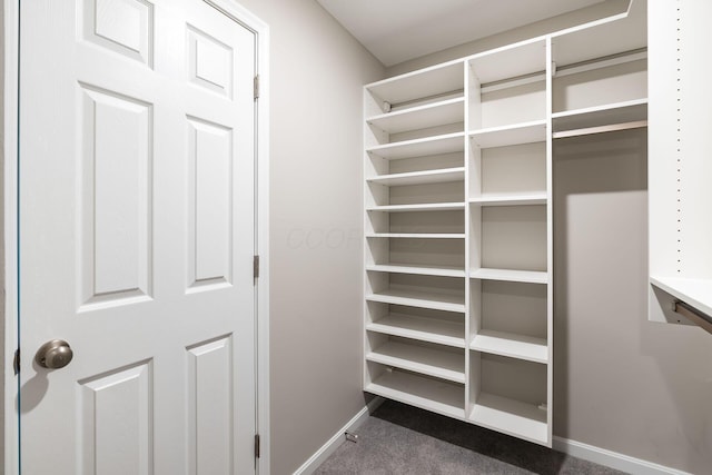 walk in closet featuring dark carpet