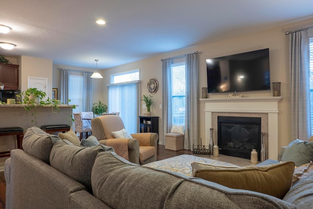 living area featuring a glass covered fireplace and wood finished floors