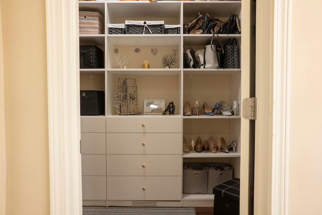 view of closet