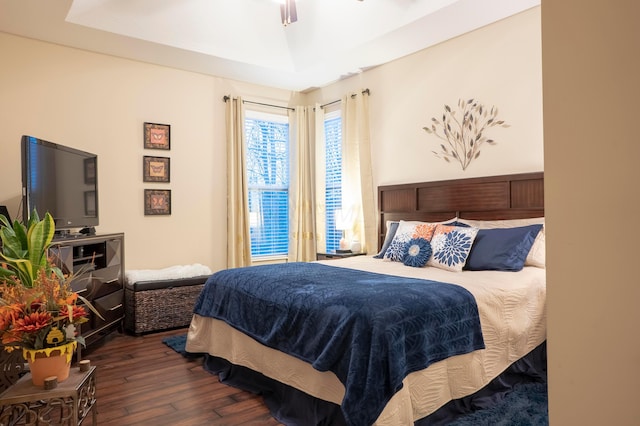 bedroom with a tray ceiling and wood finished floors