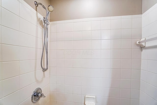 bathroom with bathing tub / shower combination