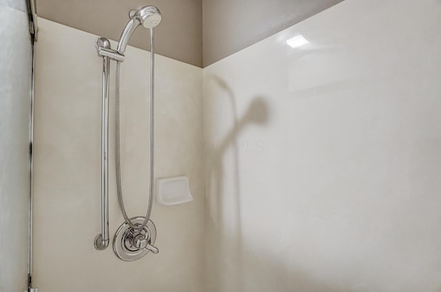 interior details featuring walk in shower