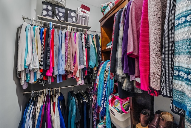 view of spacious closet