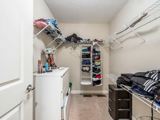 walk in closet with light colored carpet