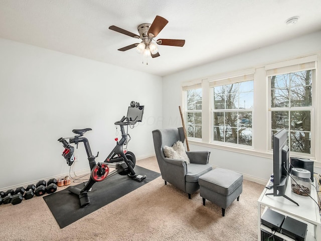 workout area featuring a ceiling fan, baseboards, and carpet flooring