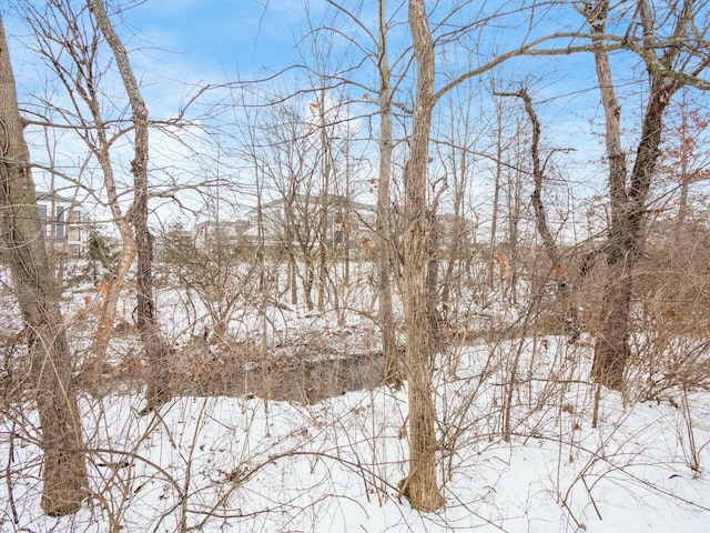 view of snowy landscape