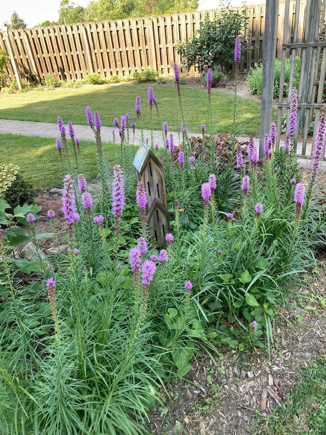 view of yard with fence