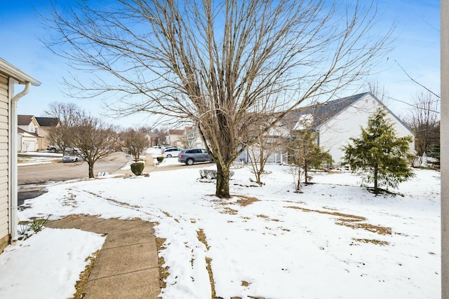 view of yard covered in snow