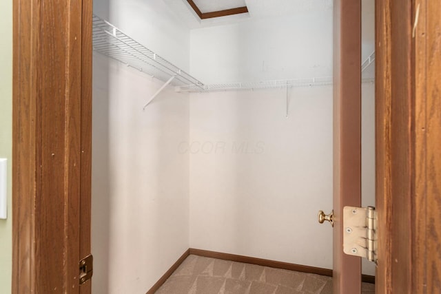 spacious closet with light carpet