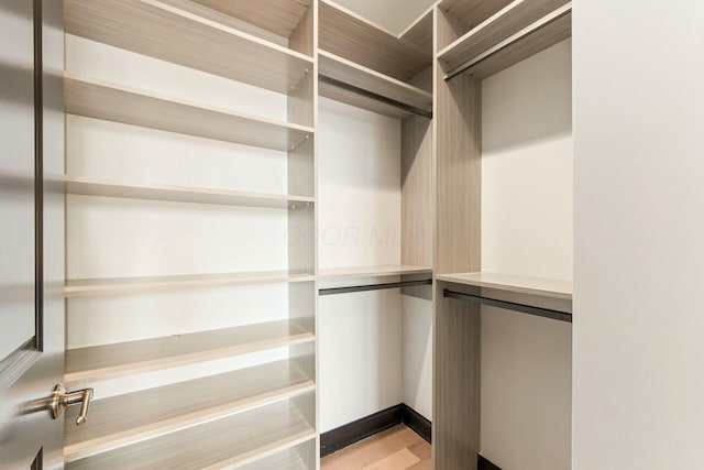 walk in closet featuring wood finished floors