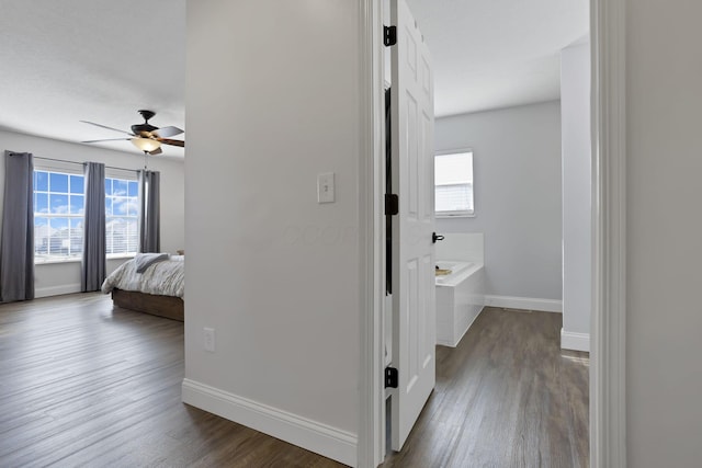 bedroom featuring baseboards, dark wood finished floors, and a ceiling fan