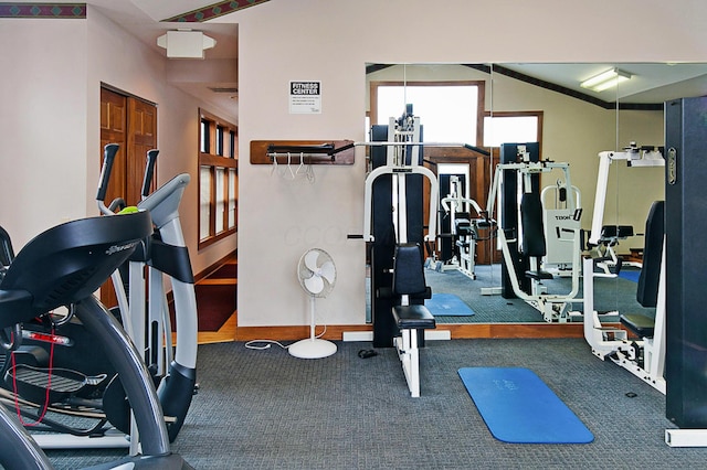 exercise room with carpet flooring