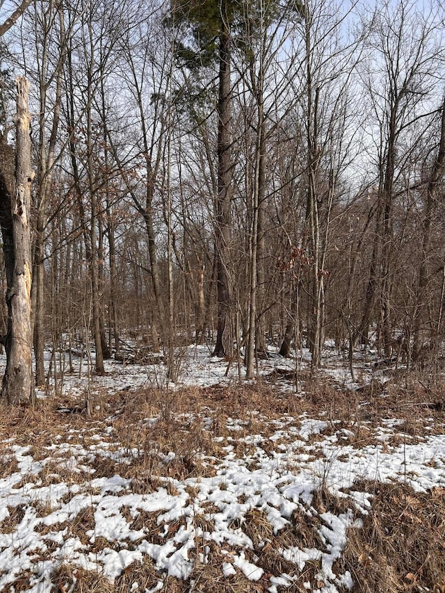 Listing photo 2 for 7326 State Route 19 Unit 2Lot 310, Mount Gilead OH 43338