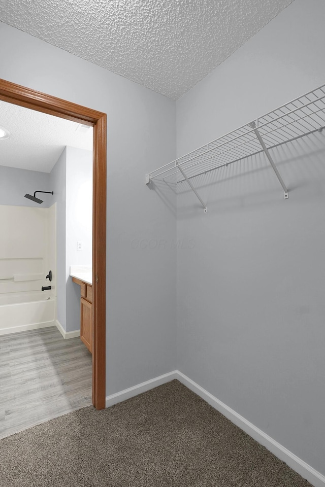 spacious closet with carpet flooring