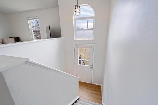 staircase featuring wood finished floors and a wealth of natural light