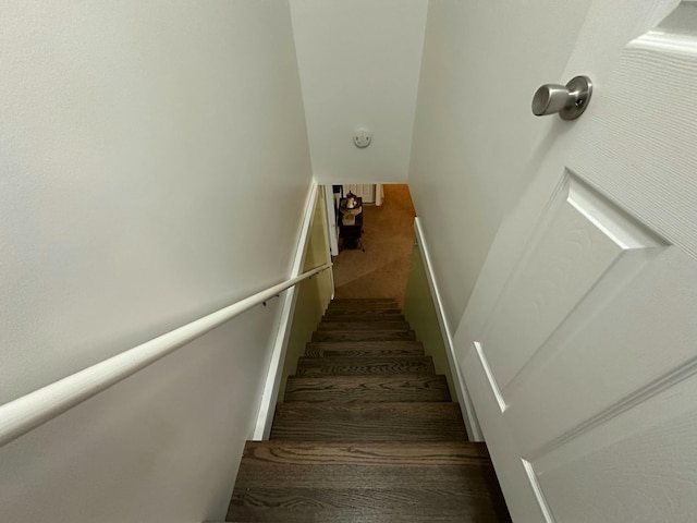 stairs with carpet flooring