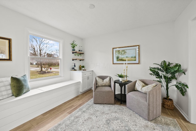 living area with light wood finished floors