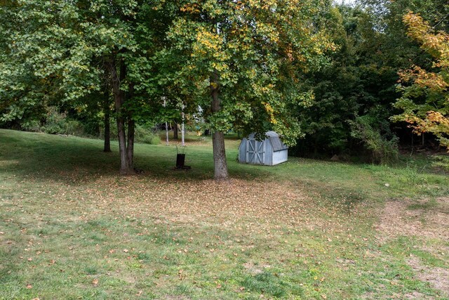 view of yard featuring a shed and an outdoor structure