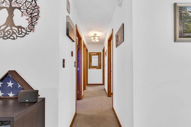 corridor featuring carpet and baseboards