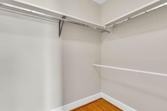 walk in closet featuring wood finished floors