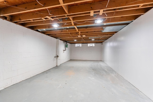 basement with concrete block wall