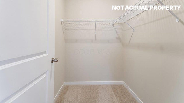 walk in closet with carpet floors