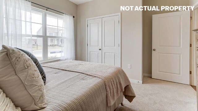 carpeted bedroom featuring multiple windows, a closet, and baseboards