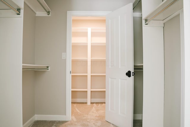 spacious closet featuring carpet