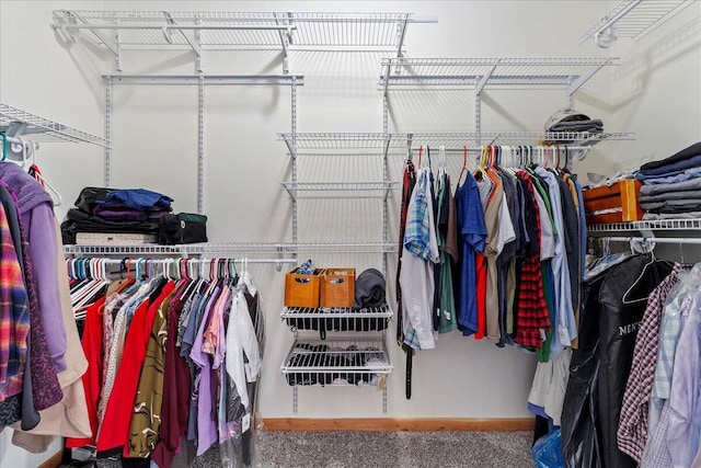 view of spacious closet