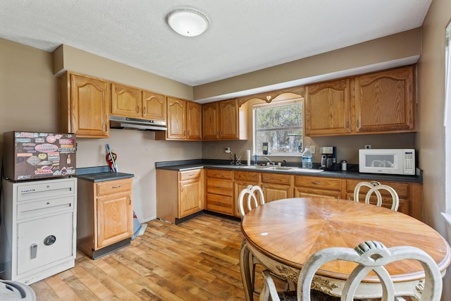 kitchen featuring white microwave, light wood-style flooring, under cabinet range hood, a sink, and dark countertops