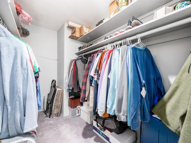 spacious closet featuring carpet flooring