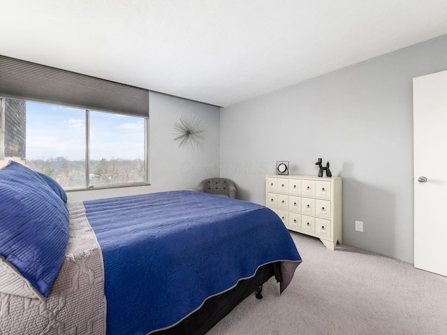 bedroom with light carpet