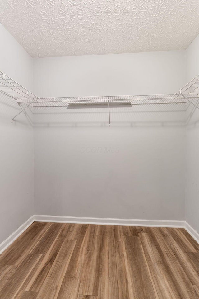 walk in closet featuring wood finished floors