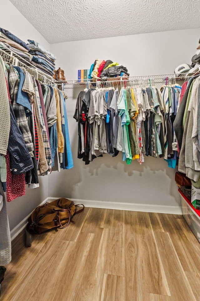 spacious closet featuring wood finished floors