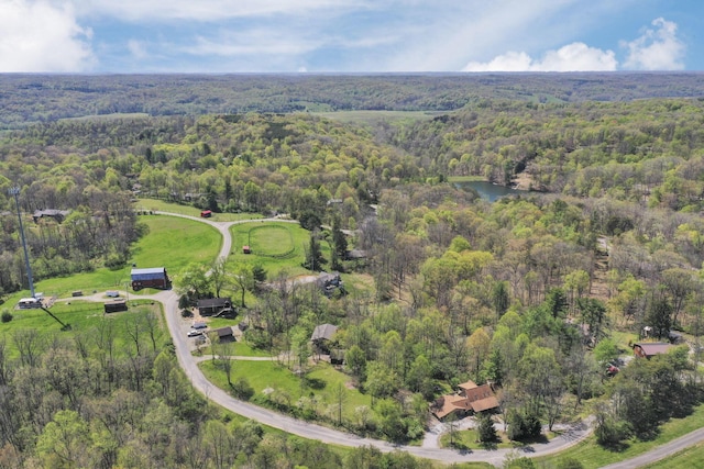 2098 Maya Ln, Sugar Grove, OH 43155 - birds eye view of property featuring a wooded view