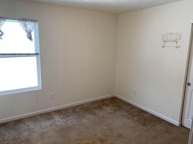 unfurnished room featuring carpet floors, plenty of natural light, baseboards, and a textured ceiling