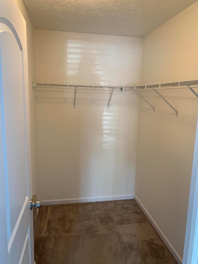 walk in closet with dark carpet