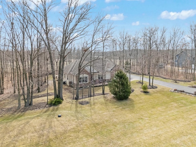 view of yard with driveway