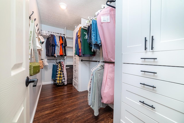 walk in closet with dark wood-style floors