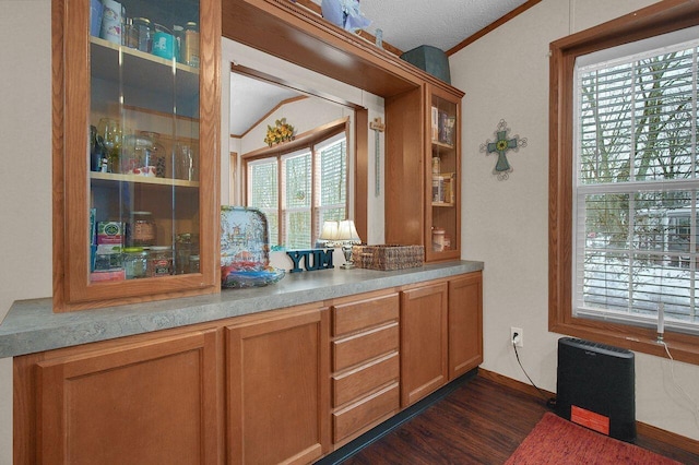 bar featuring dark wood-style floors, crown molding, vaulted ceiling, and a textured ceiling