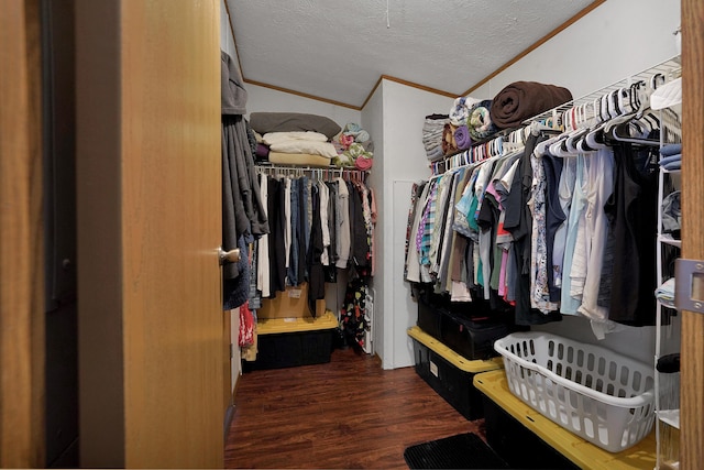 walk in closet with wood finished floors