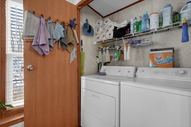 laundry room with laundry area, separate washer and dryer, and crown molding